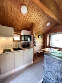 Vuorijärvi cottage - 2