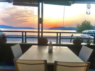 Serenity - Agria - 0