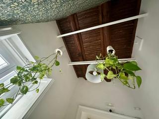 La Romantique Napoli - 0