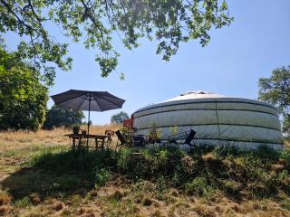 Yourte en pleine nature - 7