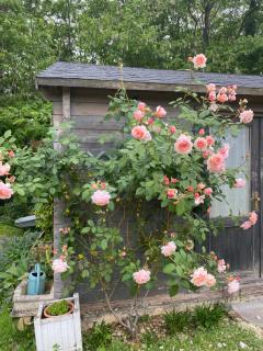 LE CLOS DU GOLF - Dame-Marie-les-Bois - 9