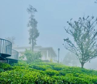 Four Winds Plantation Homestay Approved by Dept of Tourism Govt of Kerala - Vandiperiyār - 9
