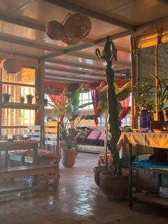 Pro SurfCamp Tamraght - Tamraght Ouzdar - 7
