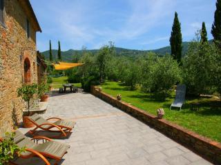 Beautiful Holiday Home in Vinci with Swimming Pool - Vinci - 8