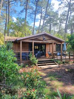 Chalet la lande - Ondres - 0