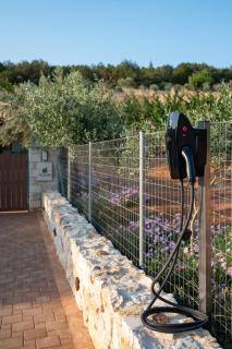 Plasis Country Suites - Íria - 4