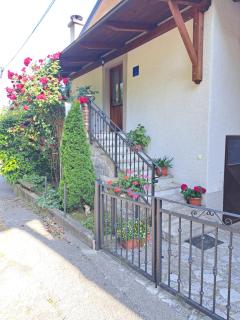 Holiday Home Ivana - Pasjak - 8