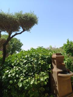 Le jardin de Sabine - Éguilles - 7