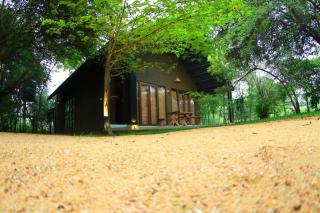 Turtle Pond Wilpattu - Wilpattu - 9