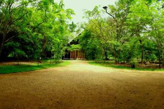 Turtle Pond Wilpattu - Wilpattu - 8