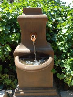 Le jardin de Sabine - 8