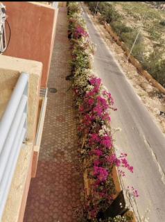 قرية ريتال فيو الساحل الشمالي - 2