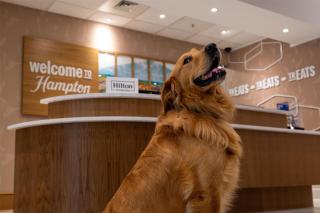 Hampton Inn & Suites Knoxville-Turkey Creek Farragut - Knoxville - 6