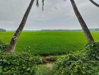 Kesu's Villa - Mulagunnathukāvu - 7