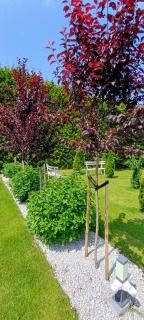 Apartamenty Lumax - Gryfice - 4