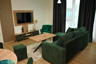 Mms lux apartmani 7 i 8 - Skopje - 8
