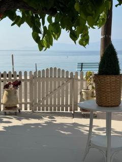Studios on the beach - Galaxidi - 7