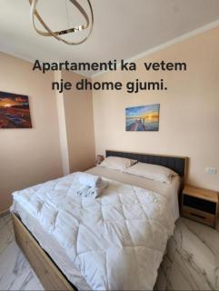 Aurora Apartament 1 - Golem - 9
