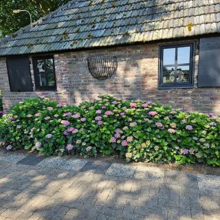 huisje Schouwenberg - 6