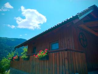 POČITNIŠKA HIŠKA LASTOVKA - 7