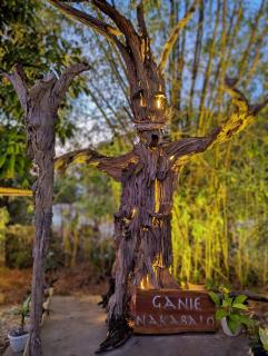 Nakabalo Guesthouse & Restaurant - Siquijor - 8