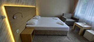 Family Hotel Diana - Sofia - 9