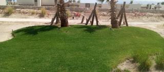 Villa with pool Miska Soma Bay - Hurghada - 0