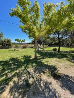 Domaine Camp Fourca - Mirabeau - 9