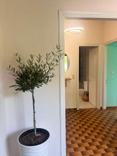 Anthia Apartment - Káto Korakiána - 4