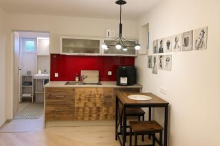 Singel Apartment mit Grill ideal für den Sommer - Hirschaid - 0