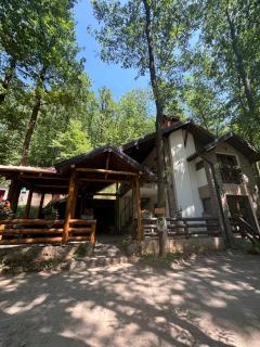 Vila KTM Lisine - Despotovac - 9