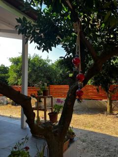 House in Citrus Garden relaxation in the arms of nature! - Ortaca - 3