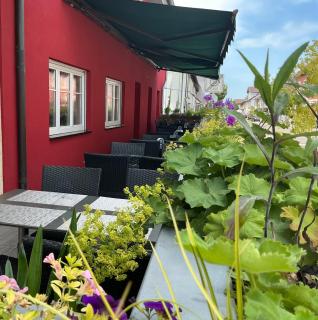 Hotel Gasthaus Roter Ochsen - Rheinau - 2
