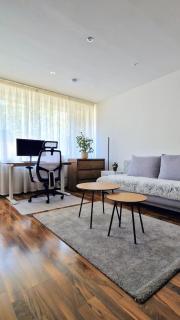 Large cozy studio with Balcony and Kitchen at Pasing - München - 9