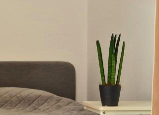 Large cozy studio with Balcony and Kitchen at Pasing - München - 7