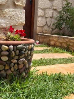 Stone Kaouki's House - Sidi Kaouki - 4