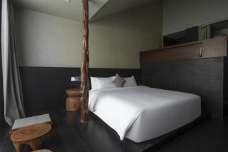 西安大雁塔执隐酒店 - 1