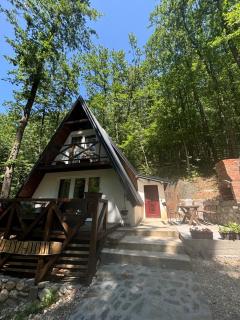 Planinska vila KTM Lisine - Despotovac - 8