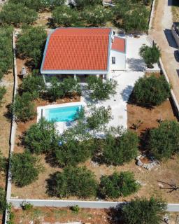 Peace & Pool in Olive Grove - Plano - 6