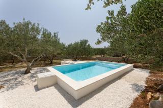 Peace & Pool in Olive Grove - Plano - 0