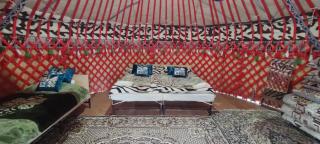 Yurt Camp Town of heavenly mountains " Kyz Zhibek" - Dzhetyoguz - 2