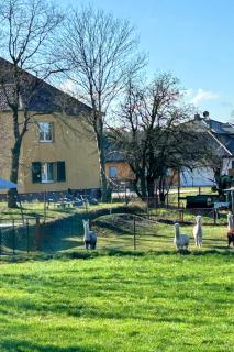 Gelbes Haus Seenland Ferienwohnungen XL - 8