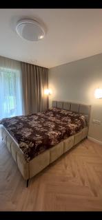 Luxury Sarli Apartment Nemirsetos parke - Palanga - 1