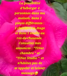 TiNat chambre - Douarnenez - 9