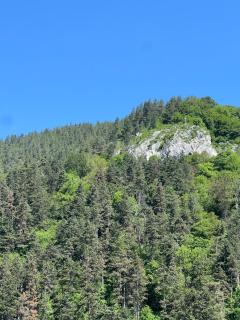 Pensiunea Carina - 7