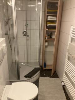 Garten Apartment für Hundefreunde mit Zaun Souterrain Zugang über mehrere Stufen,Treppe - Hirschaid - 5