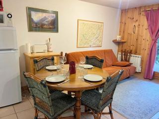 Appartement T2 cosy avec jardinet, proche centre et skibus, WiFi, parking et équipements complets - FR-1-624-61 - Samoëns - 0
