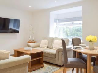 Princess Court Apartment - Llanelli - 0