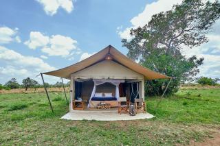 Migration UnderCanvas - Serengeti - 9