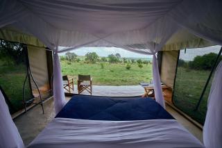 Migration UnderCanvas - Serengeti - 8
